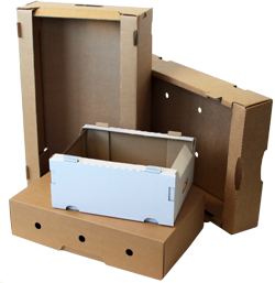 Dėžutės žemės ūkio produkcijai